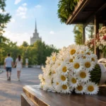 Day of Family, Love and Fidelity in Moscow: 8 July Traditions
