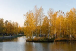 Izmailovsky Park Moscow: Free Entry, Ferris Wheel and Royal Estate