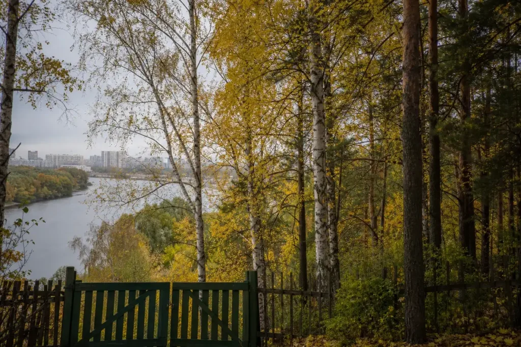 Kuntsevo: Stalin’s Near Dacha, Old Estates and the Kuntsevskaya Hub