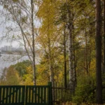 Kuntsevo: Stalin’s Near Dacha, Old Estates and the Kuntsevskaya Hub