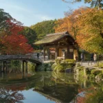 Main Botanical Garden Moscow: Japanese Garden, Hours and Entrances