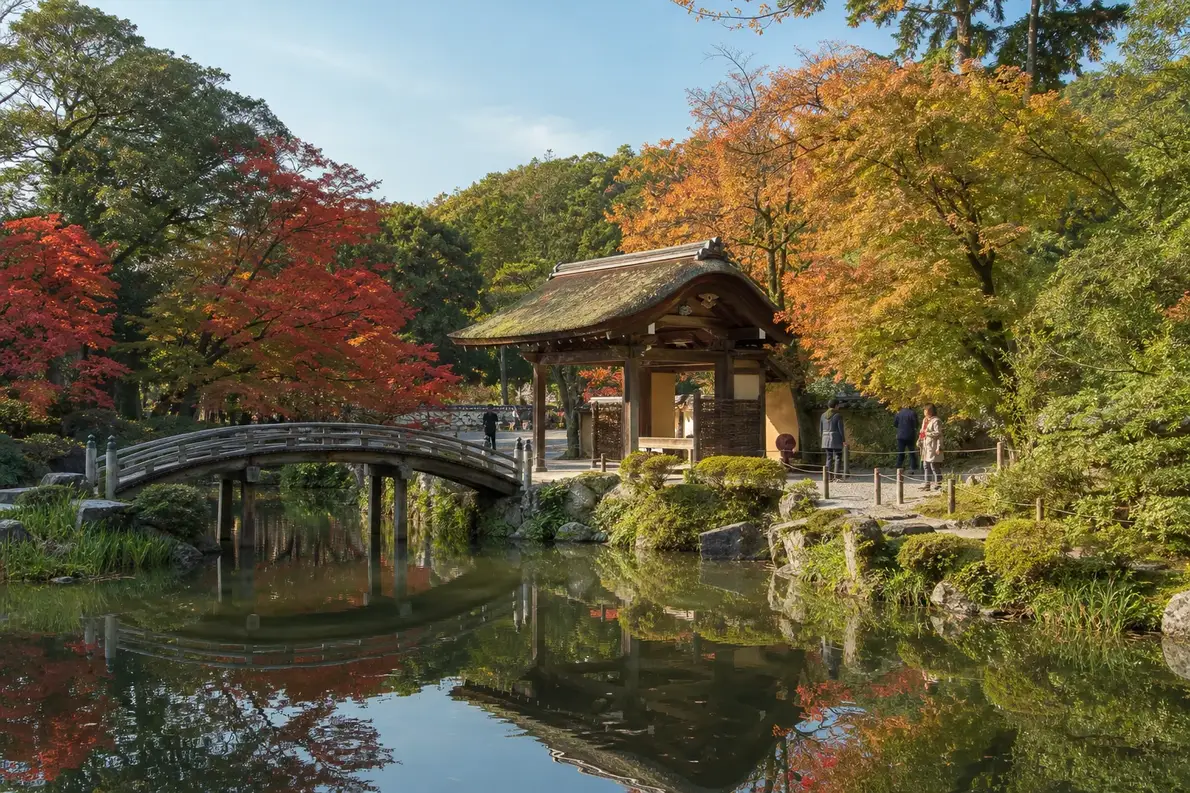 Main Botanical Garden Moscow: Japanese Garden, Hours and Entrances