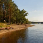 Serebryany Bor Moscow: Beaches, Pine Forest and How to Get There