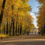 Sokolniki: Moscow’s Falcon Park, Kitchen Debate Site and Ice Rink