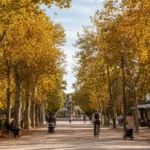 Sokolniki Park Moscow: Entrances, Rose Garden and Winter Rink