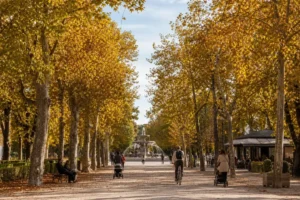 Sokolniki Park Moscow: Entrances, Rose Garden and Winter Rink